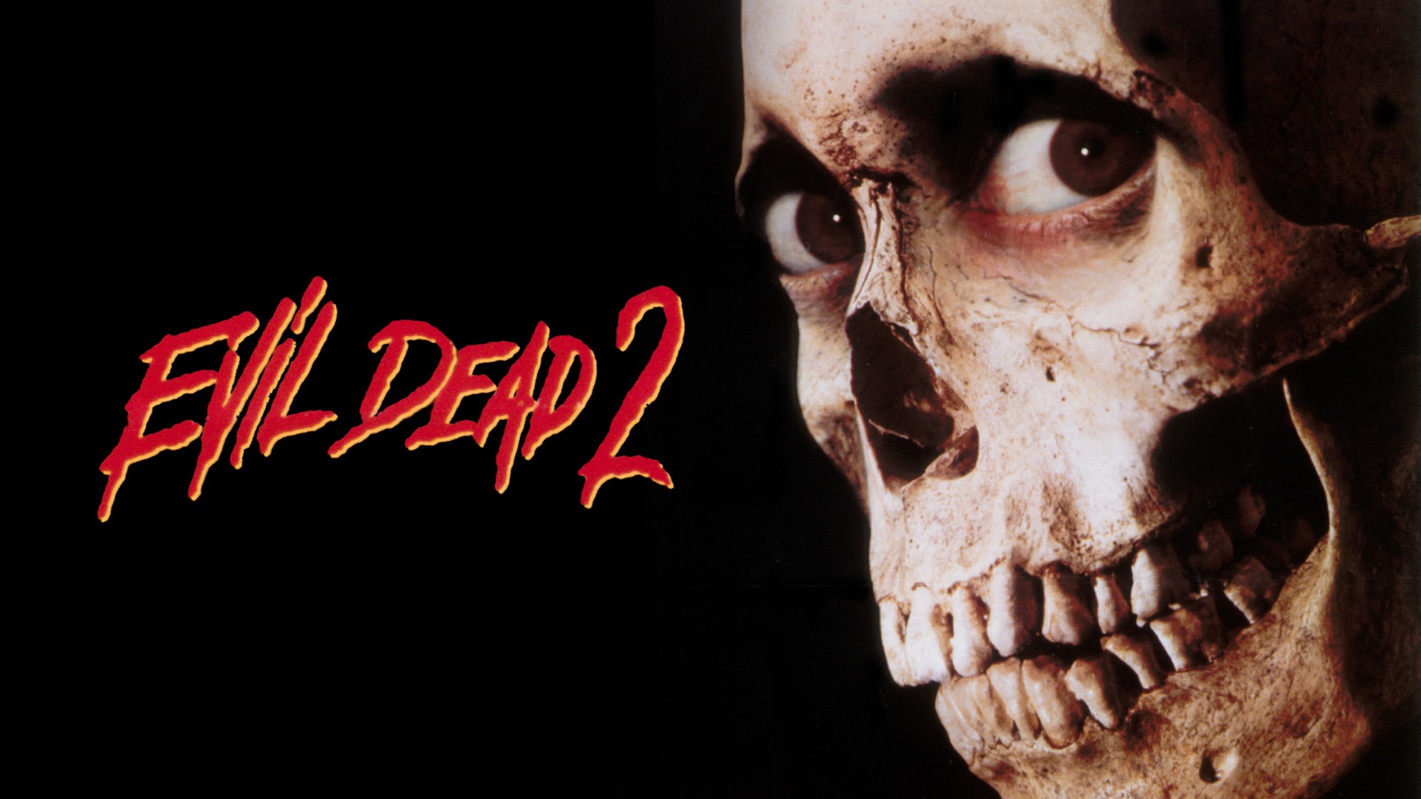 Evil Dead Wallpaper by avatard on DeviantArt