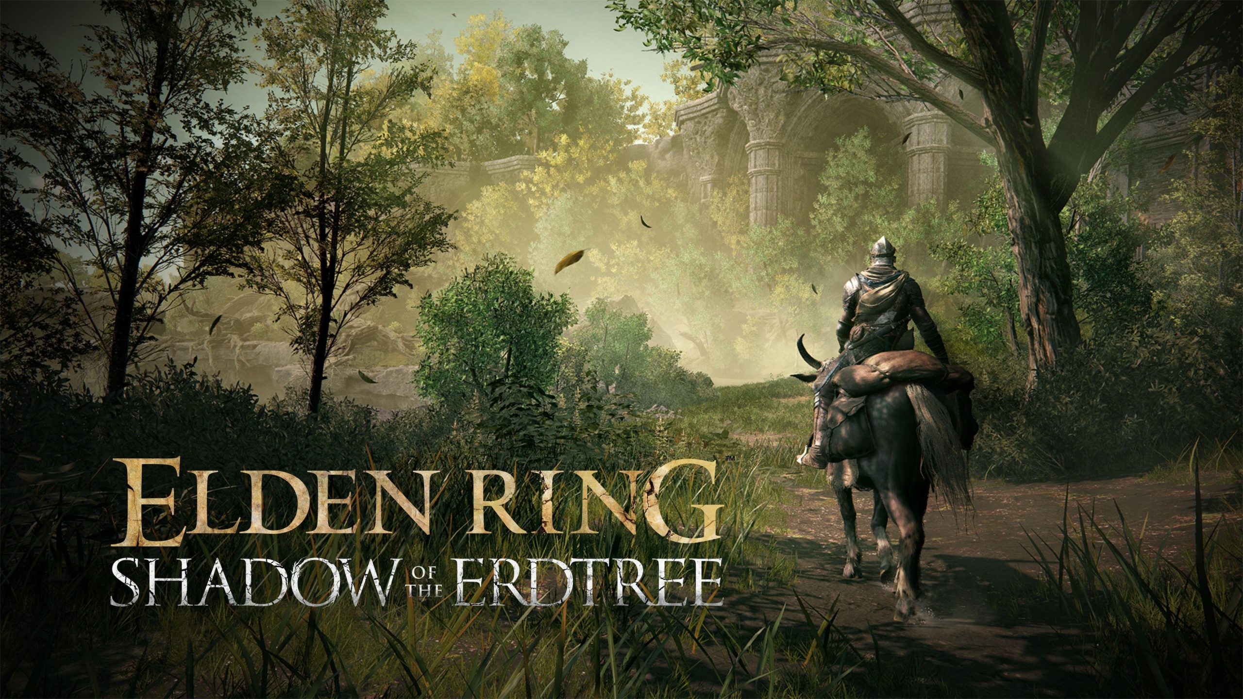 Steam Workshop::Elden Ring Shadow of the Erdtree Castle