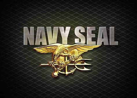 Navy Seal Stock Photos, Images and Backgrounds for Free Download