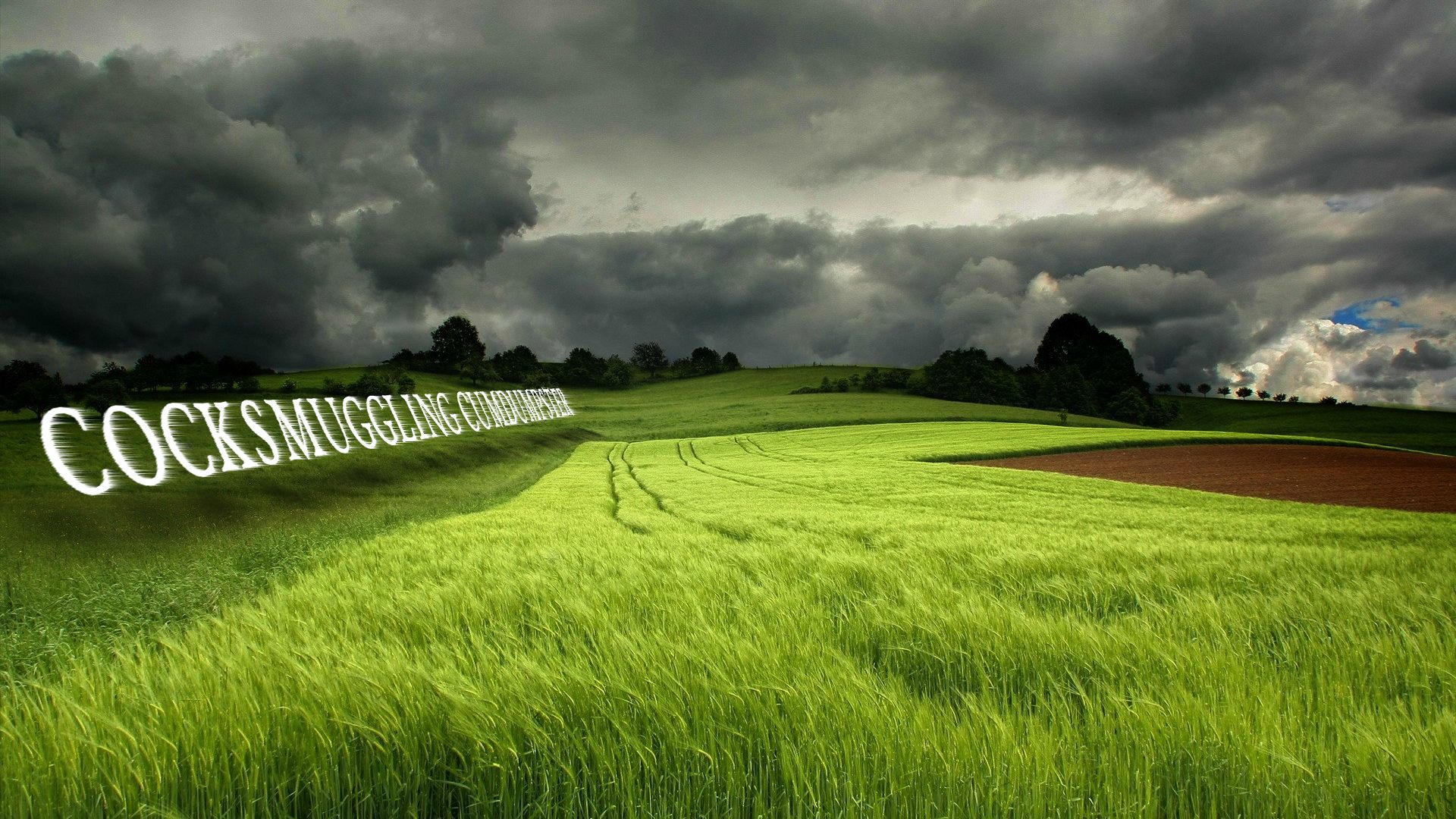 inappropriate wallpapers,grassland,natural landscape,nature,field,green  (#673542) - WallpaperUse