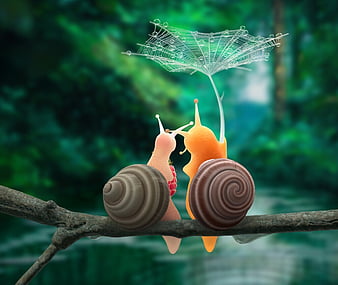 cute snail Wallpaper -- HD Wallpapers of cute snails! - App on Amazon  Appstore