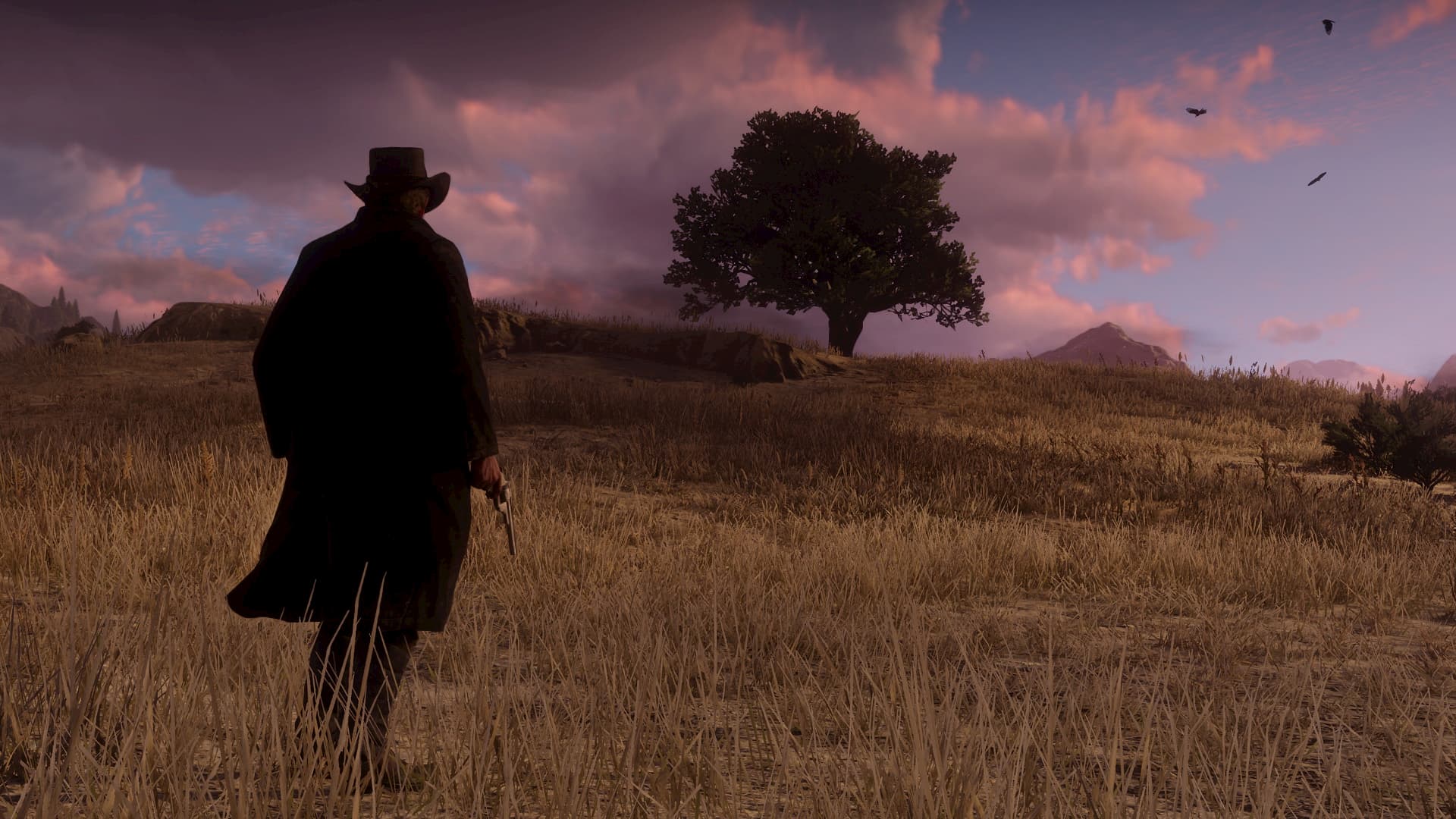 Download Red Dead Redemption 2 Wallpaper