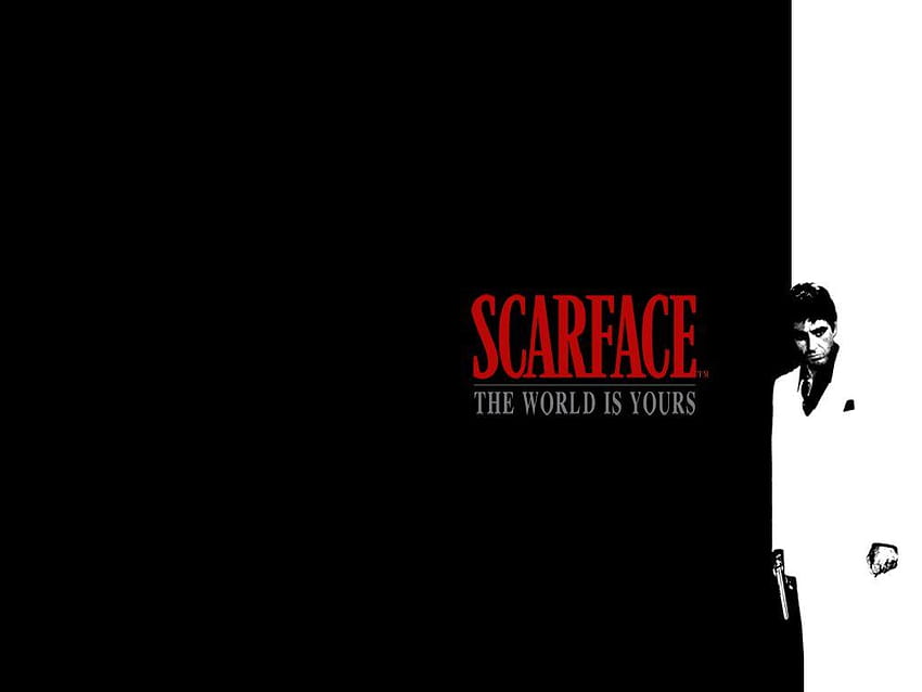 Scarface: The World Is Yours [100% Walkthrough] - All Gang Hideouts in  North Beach