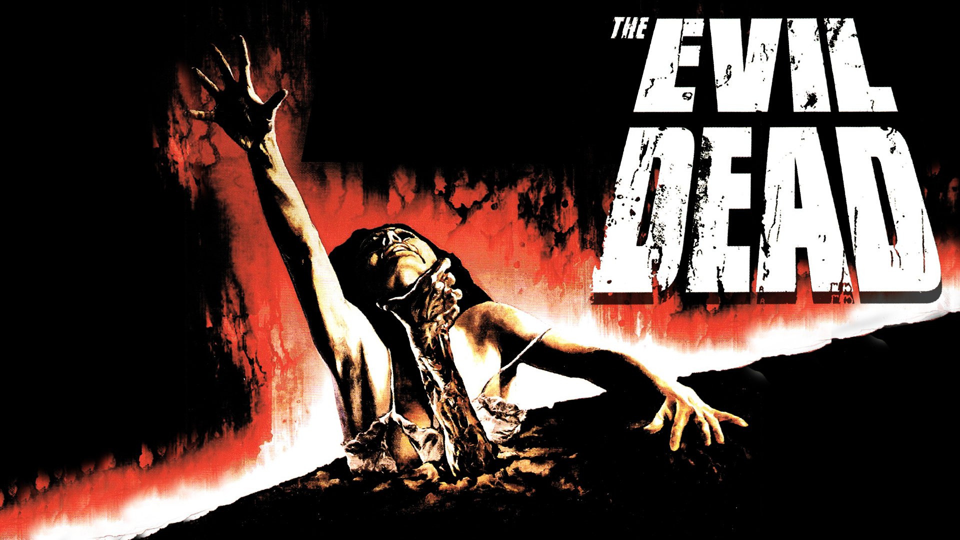 Download Movie Evil Dead II HD Wallpaper