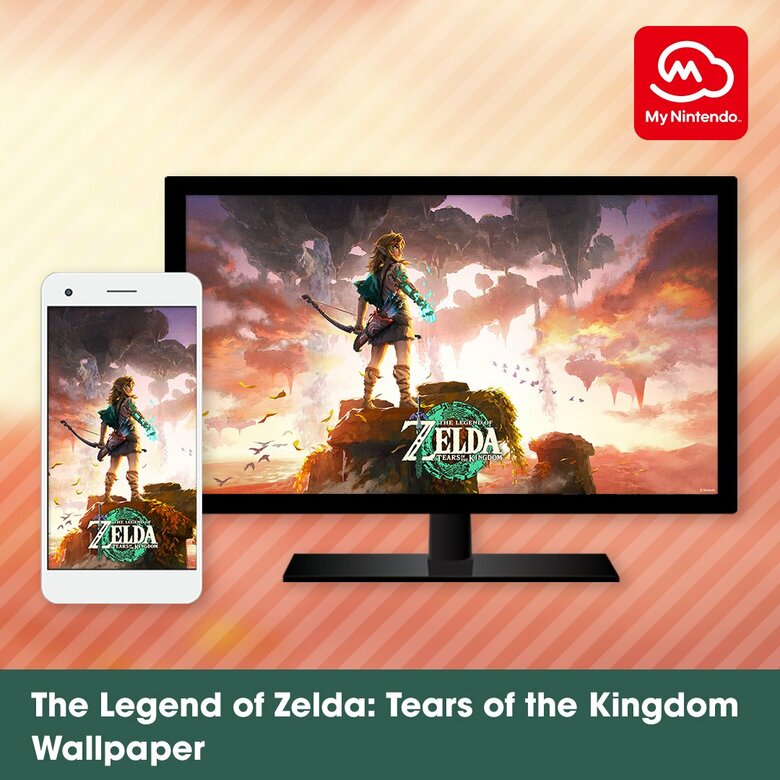 100+] The Legend Of Zelda Tears Of The Kingdom Wallpapers | Wallpapers.com