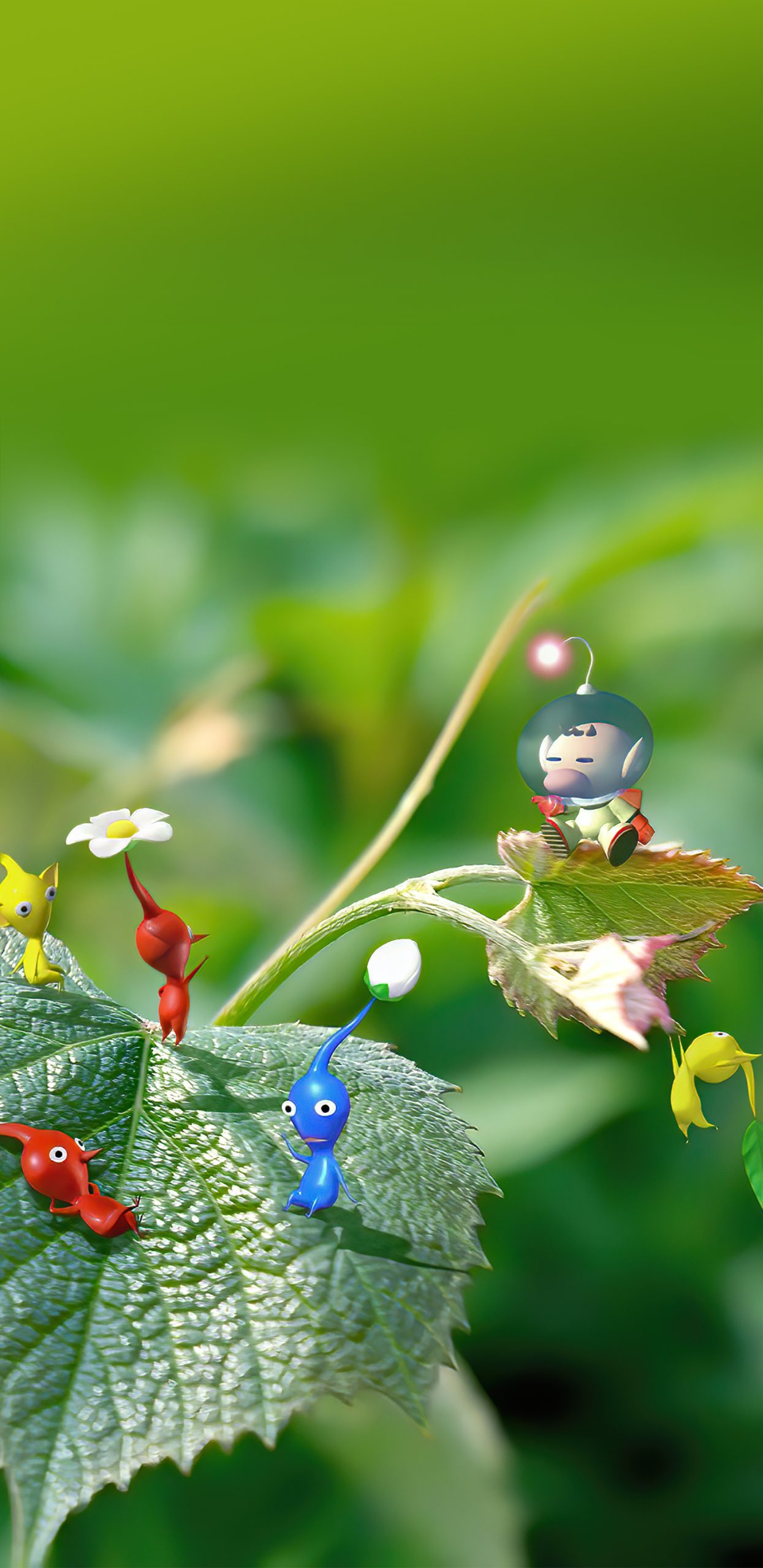 Pikmin 3 wallpapers or desktop backgrounds