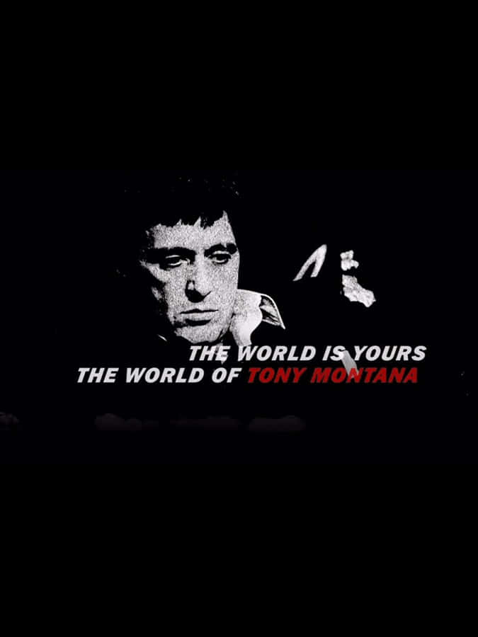 Scarface, 1h43. Does anyone have a higher-quality version, please? It's for  a wallpaper : r/Cinema