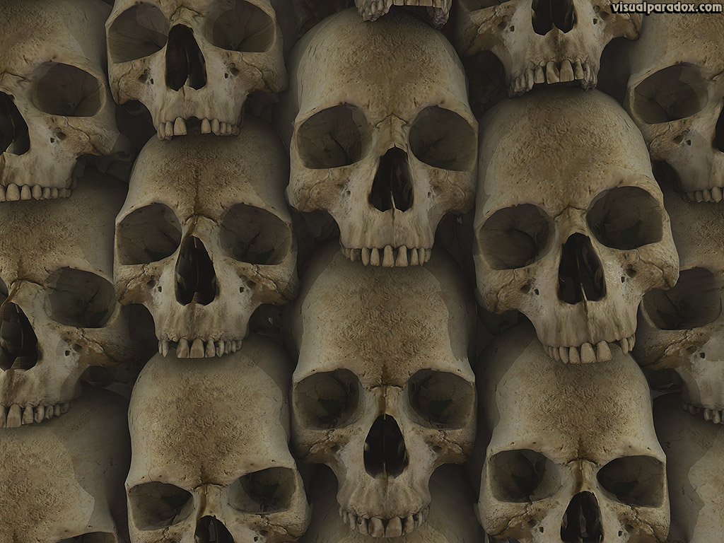 Skull Wallpaper Photos, Download The BEST Free Skull Wallpaper Stock Photos  & HD Images